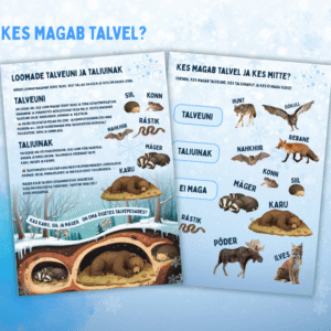 Töölehed lastele- Loomade taliuinak ja talveuni