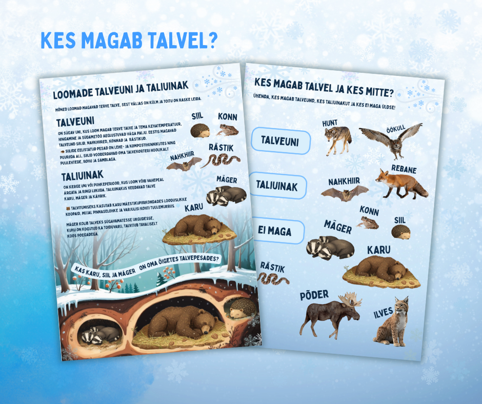 Töölehed lastele- Loomade taliuinak ja talveuni